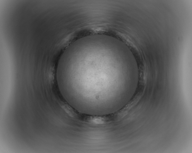 X0000112950710200908311509