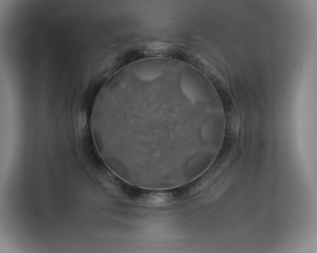 X0000112950711200908311509