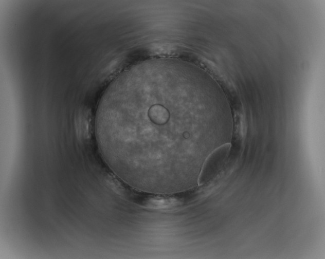 X0000112950712200908311509