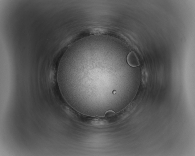 X0000112950714200908311509