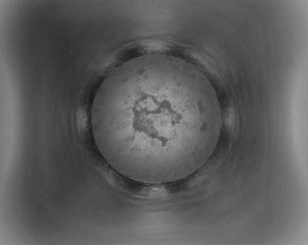 X0000112950715200908311509