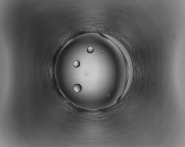 X0000112950716200908311509