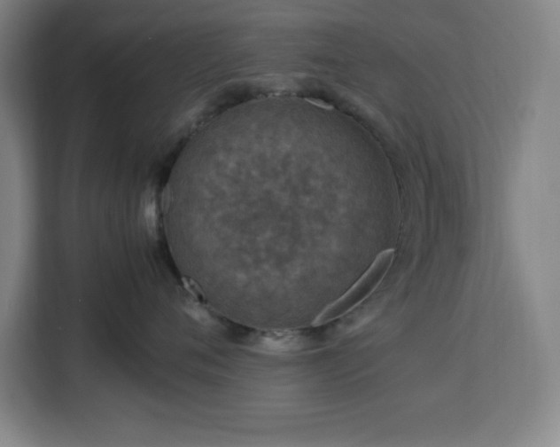 X0000112950720200908311509