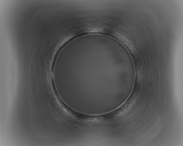 X0000112950721200908311509