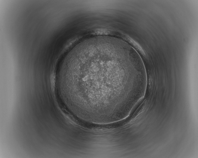 X0000112950722200908311509