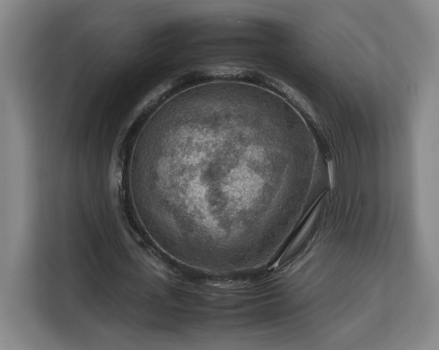 X0000112950723200908311509