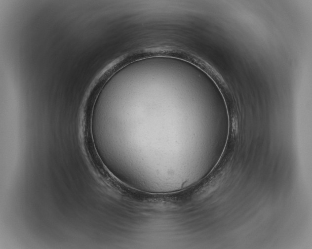 X0000112950724200908311509