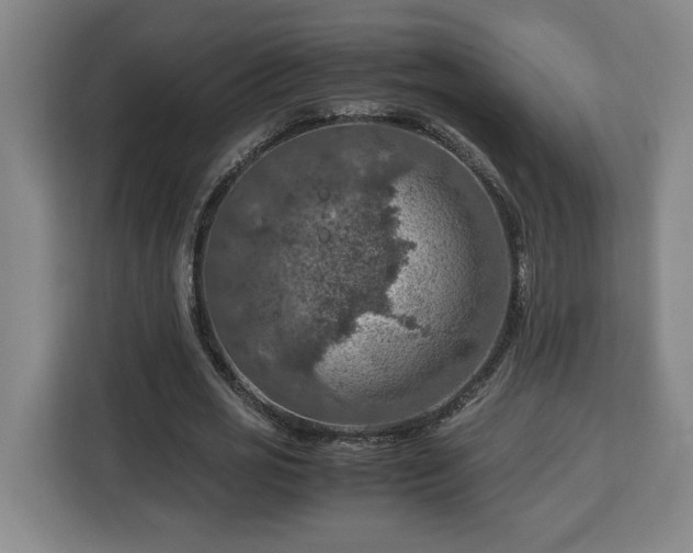 X0000112950725200908311509