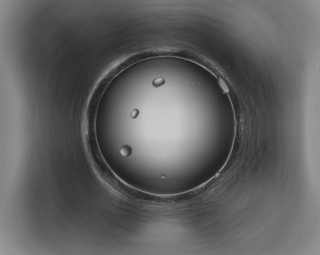 X0000112950726200908311509