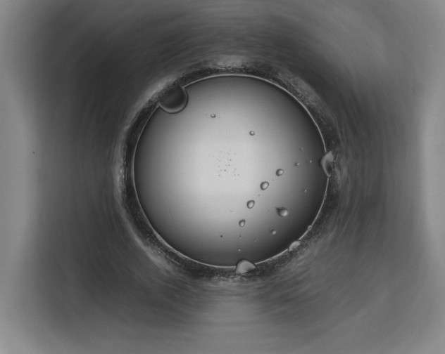 X0000112950728200908311509