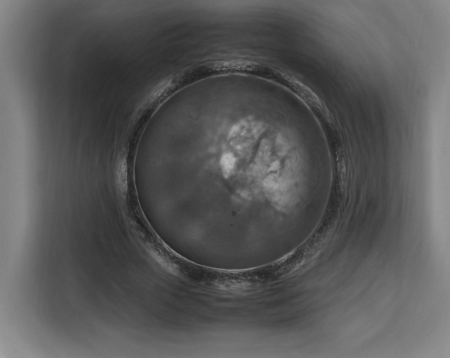 X0000112950729200908311509