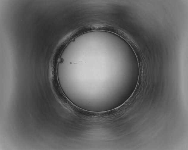 X0000112950732200908311509