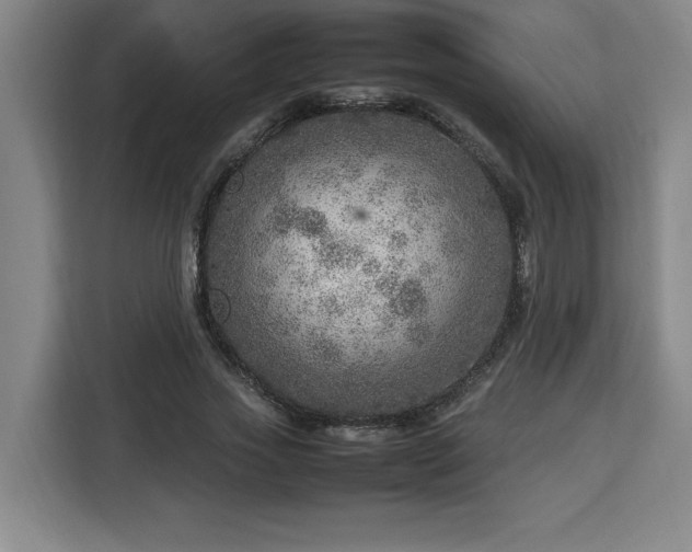 X0000112950733200908311509