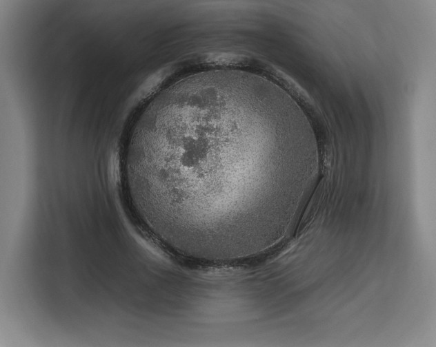 X0000112950734200908311509