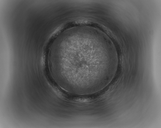 X0000112950735200908311509