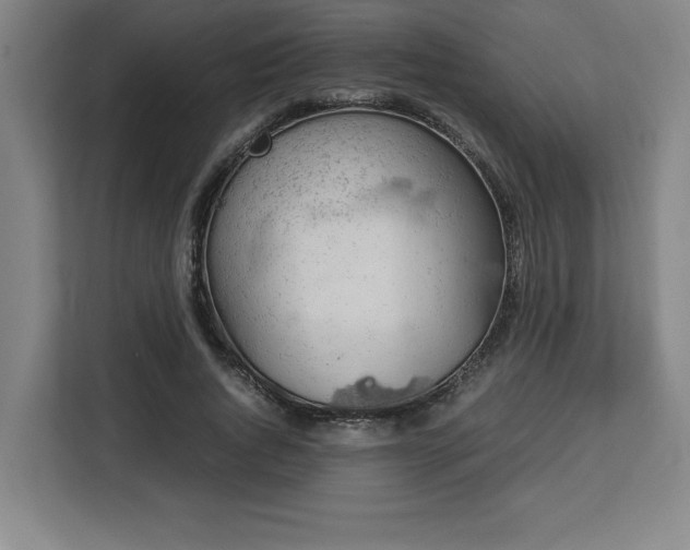 X0000112950736200908311509