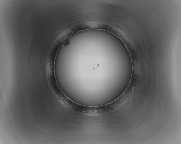 X0000112950740200908311509