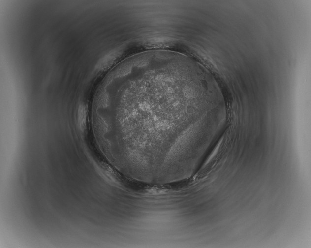 X0000112950742200908311509