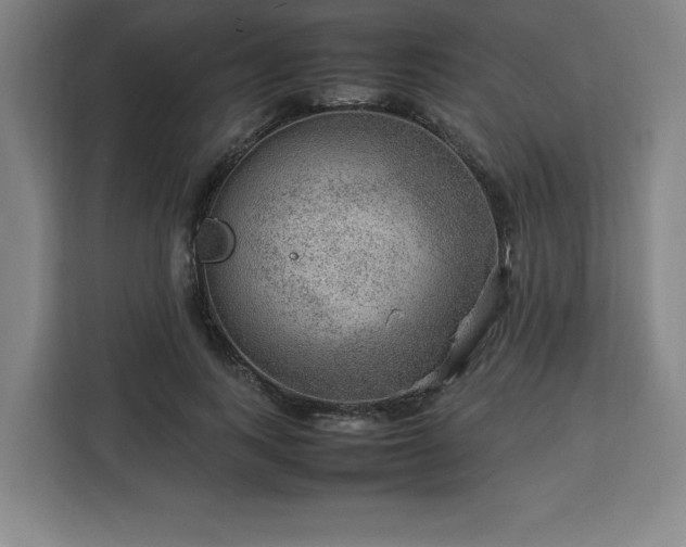 X0000112950743200908311509