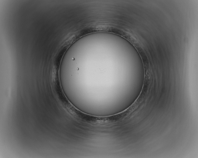 X0000112950744200908311509