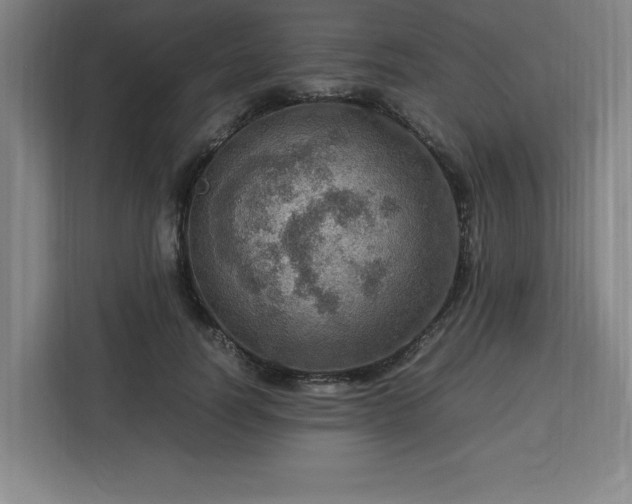 X0000112950746200908311509