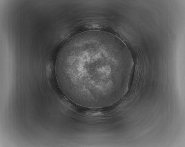 X0000112950747200908311509