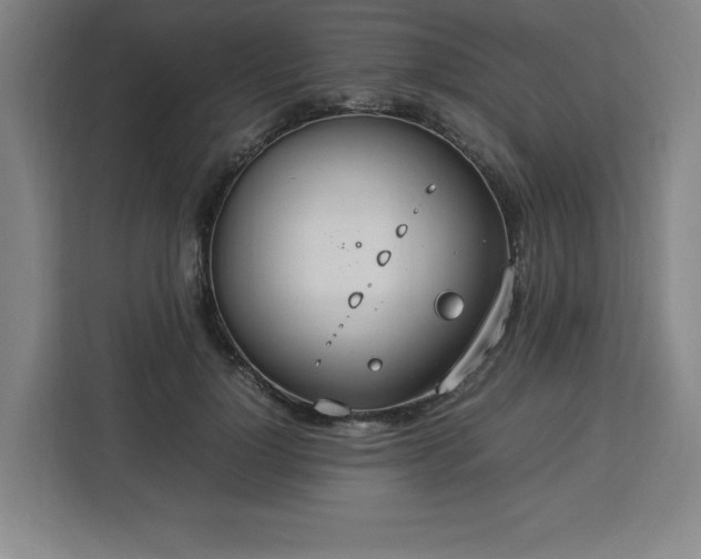 X0000112950748200908311509