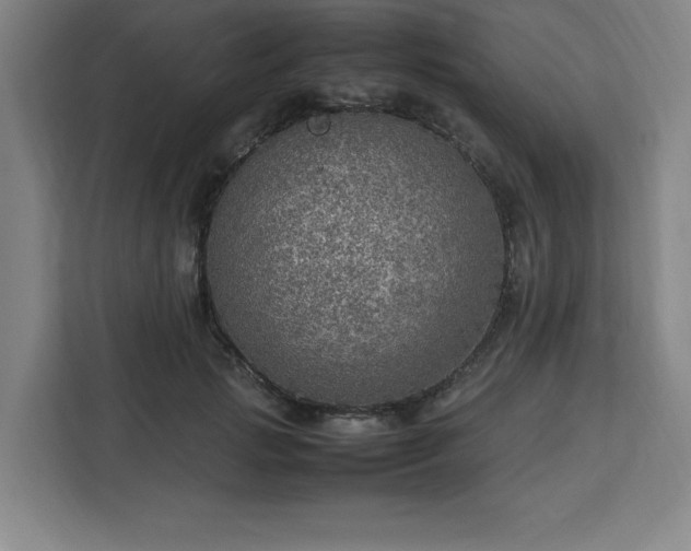 X0000112950749200908311509