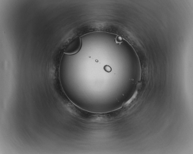 X0000112950750200908311509