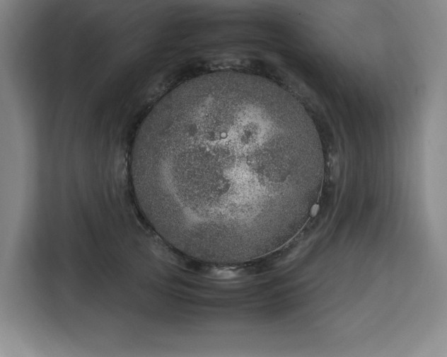 X0000112950753200908311509