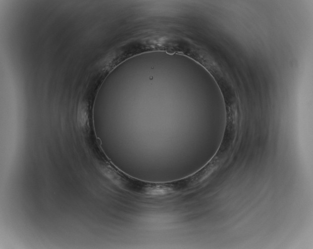 X0000112950754200908311509