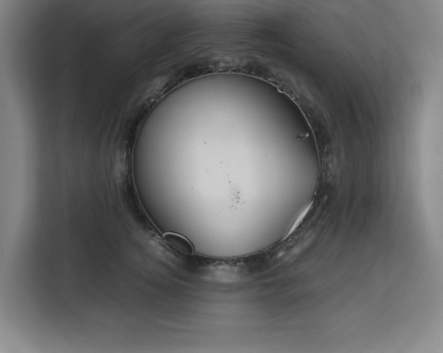 X0000112950756200908311509