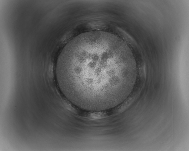 X0000112950757200908311509