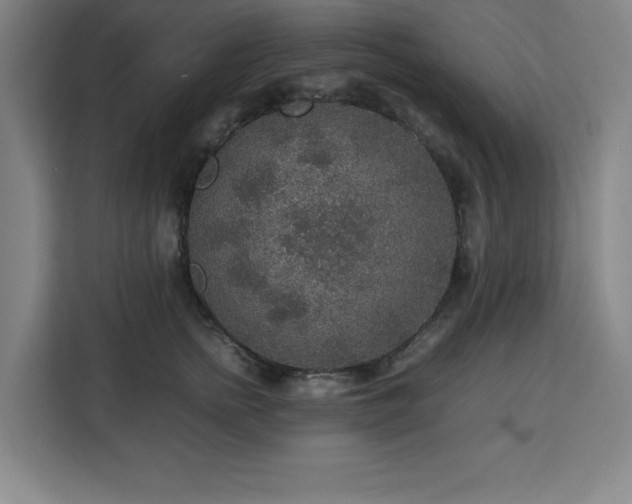 X0000112950758200908311509