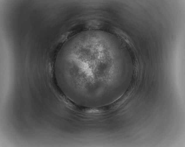 X0000112950759200908311509