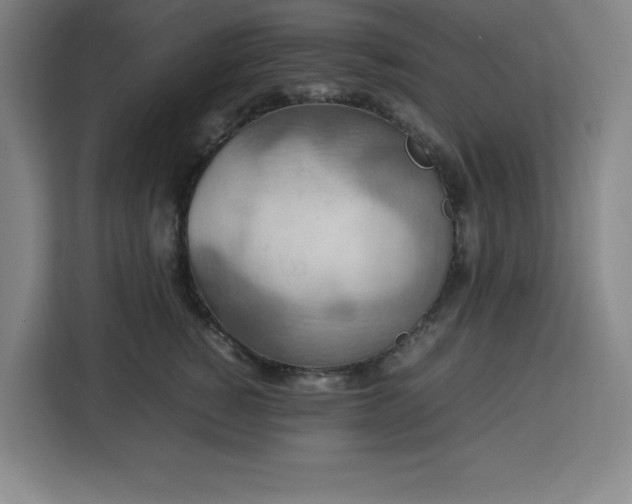 X0000112950760200908311509