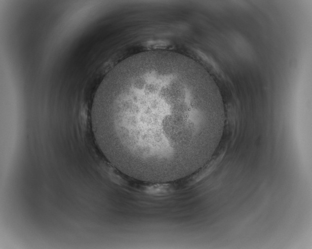 X0000112950761200908311509