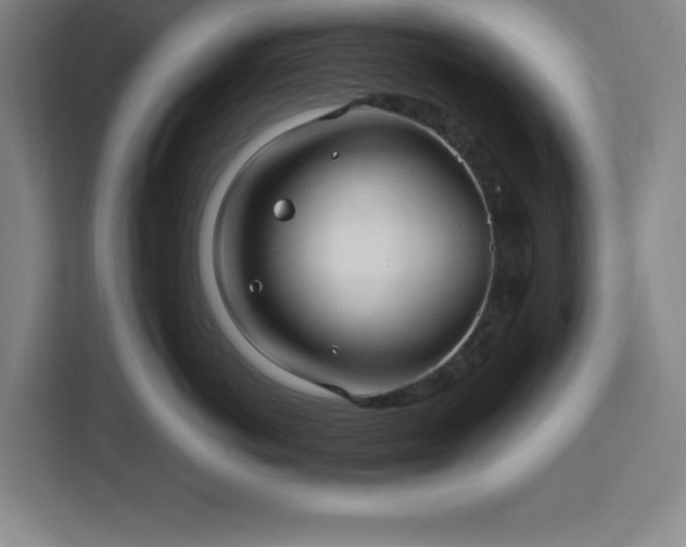 X0000112950766200908311509