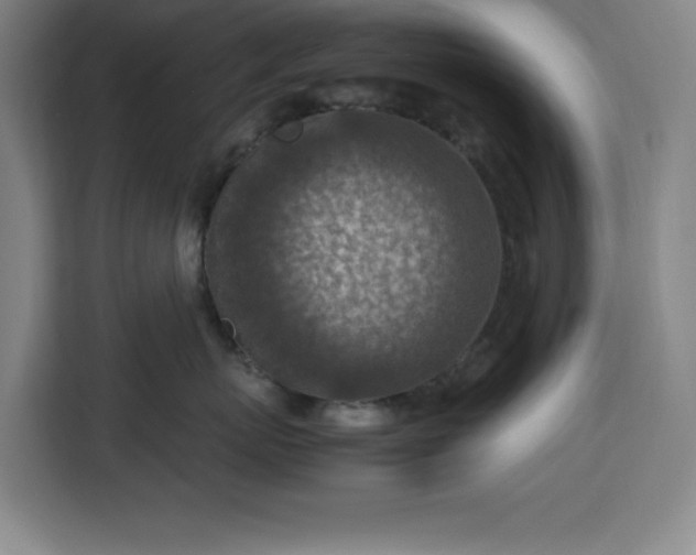 X0000112950767200908311509