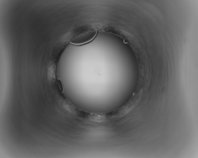 X0000112950768200908311509