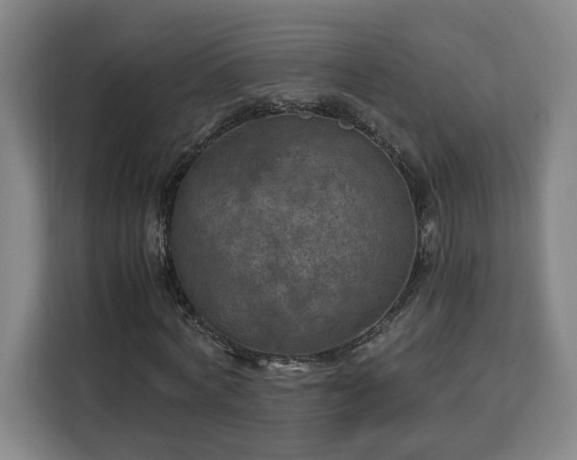 X0000112950772200908311508