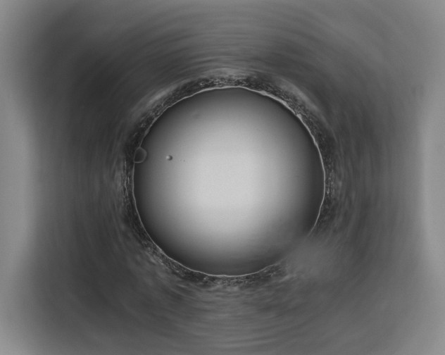 X0000112950773200908311508