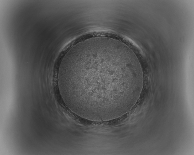 X0000112950775200908311508