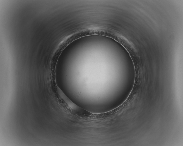 X0000112950776200908311508