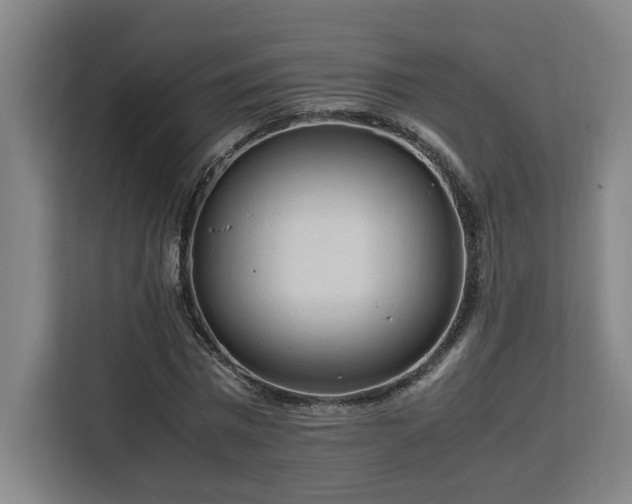 X0000112950777200908311508