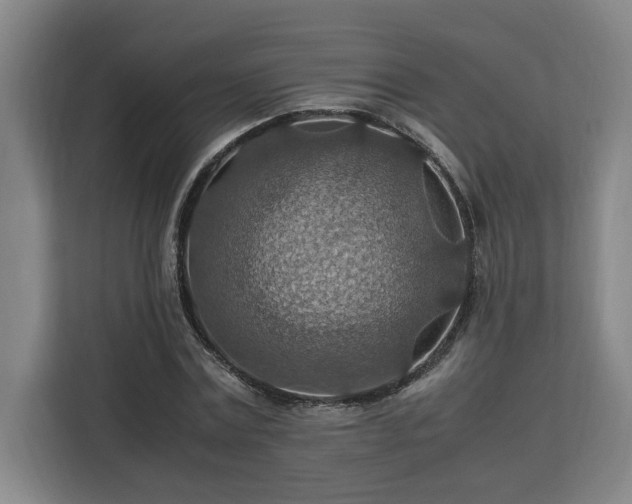 X0000112950779200908311508