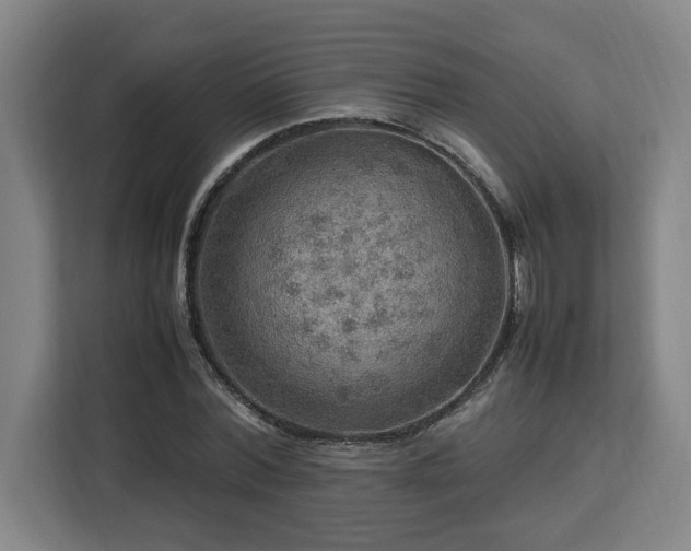 X0000112950780200908311508