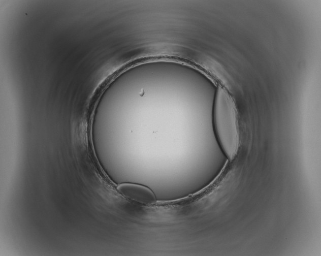 X0000112950781200908311508