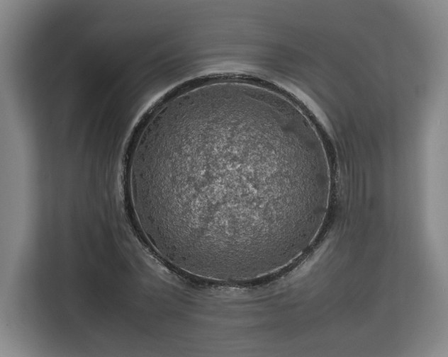 X0000112950783200908311508