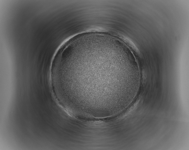 X0000112950784200908311508